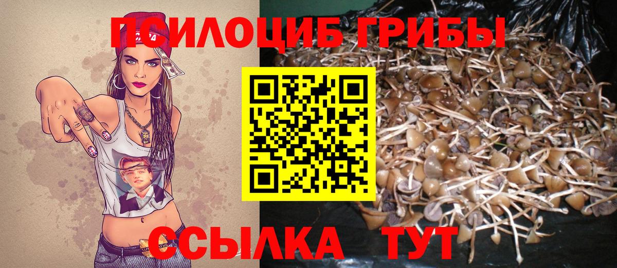 Псилоцибиновые грибы MAGIC MUSHROOMS Сосновый Бор